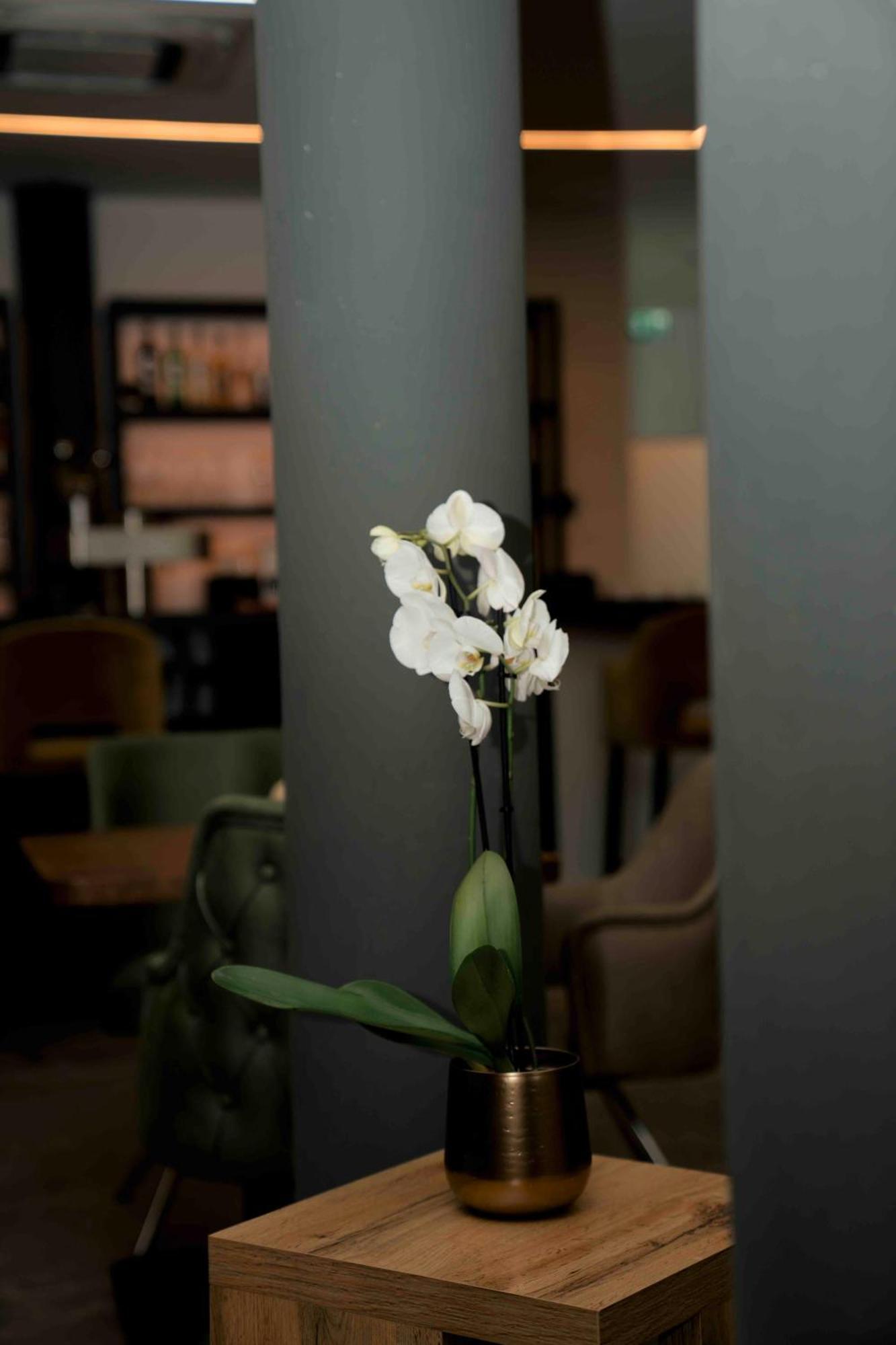 Central Hotel & Lounge Adult Only Goslar Eksteriør billede